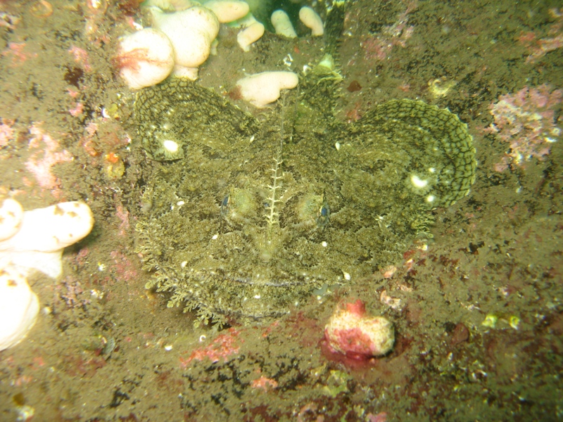 Abbs August '09 003.jpg